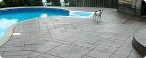 Master Sealer Property Services